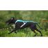 Non-stop dogwear postroj Freemotion 5.0 - modrý